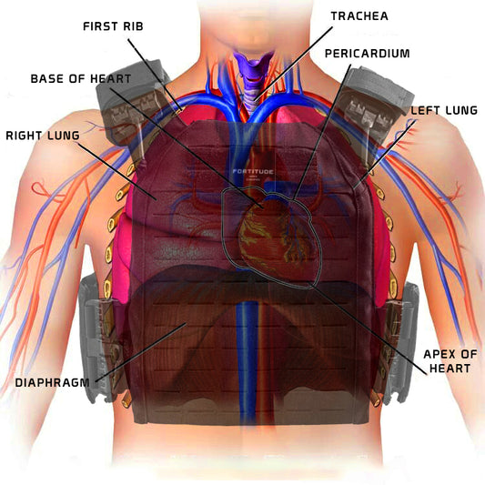 FINDING THE OPTIMAL FIT FOR YOUR PLATE CARRIER