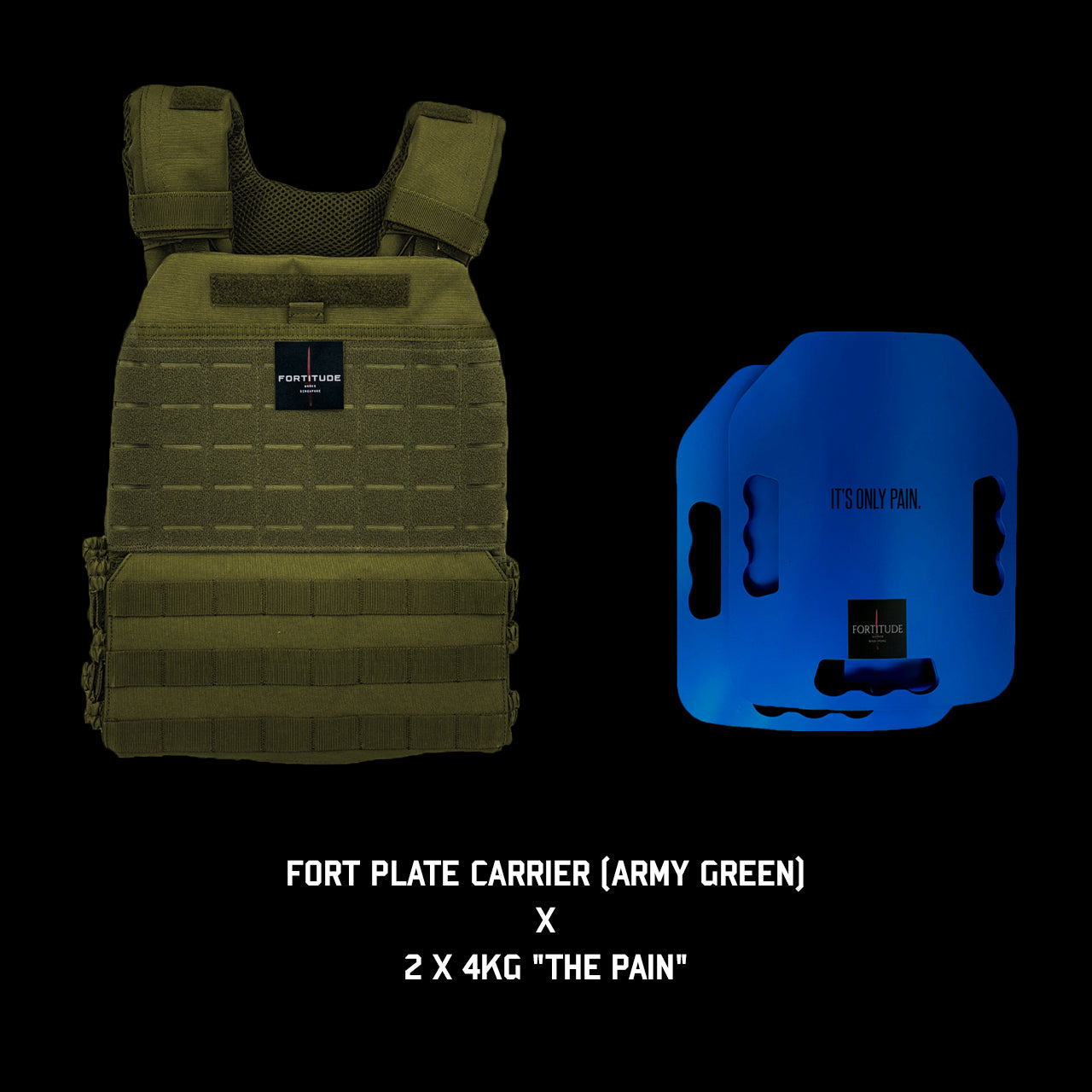 FORT Plate Carrier - FORTITUDE WORKS SINGAPORE