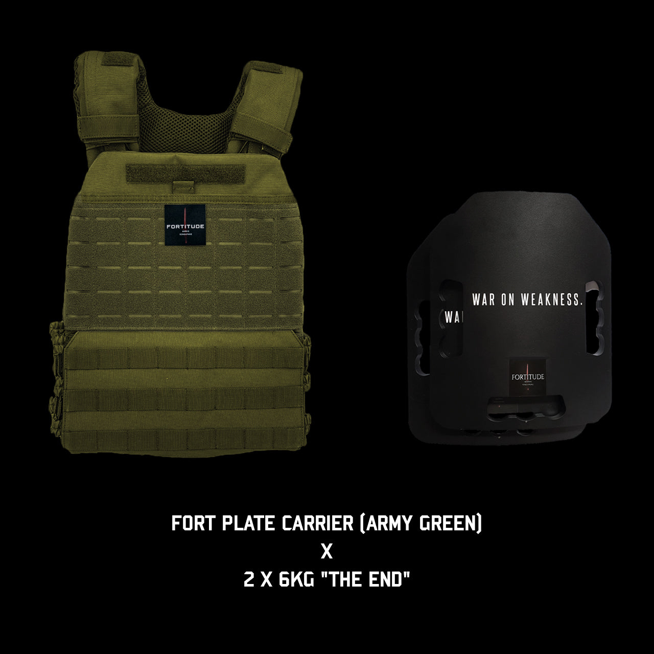 FORT Plate Carrier - FORTITUDE WORKS SINGAPORE
