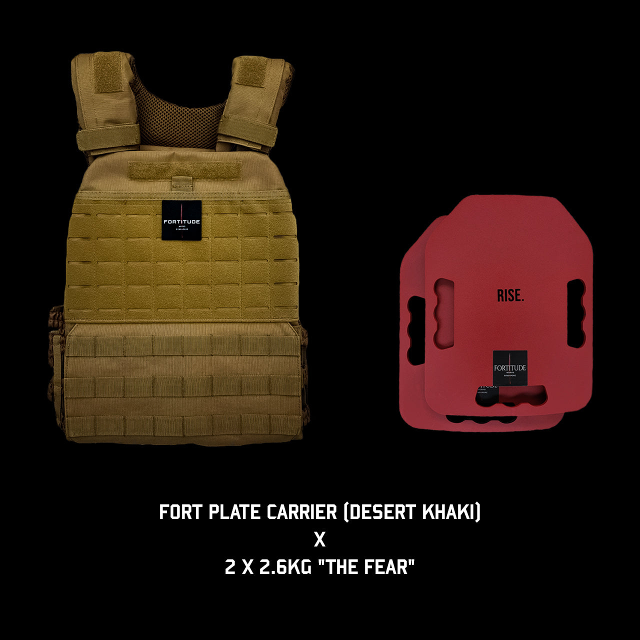 FORT Plate Carrier - FORTITUDE WORKS SINGAPORE