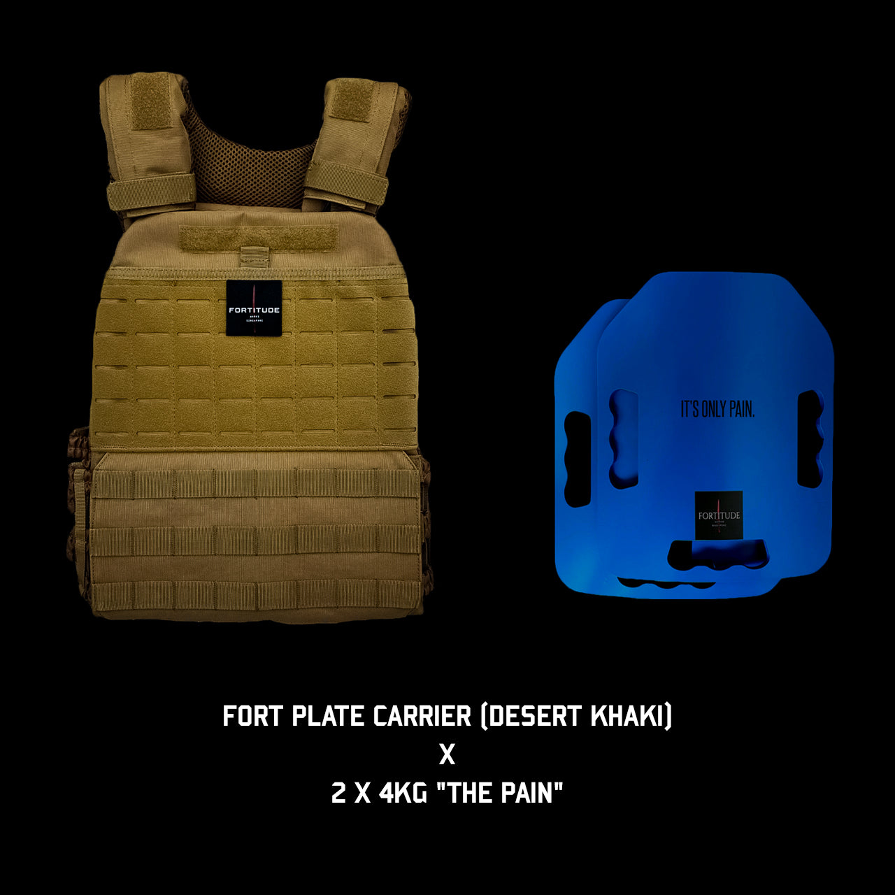 FORT Plate Carrier - FORTITUDE WORKS SINGAPORE