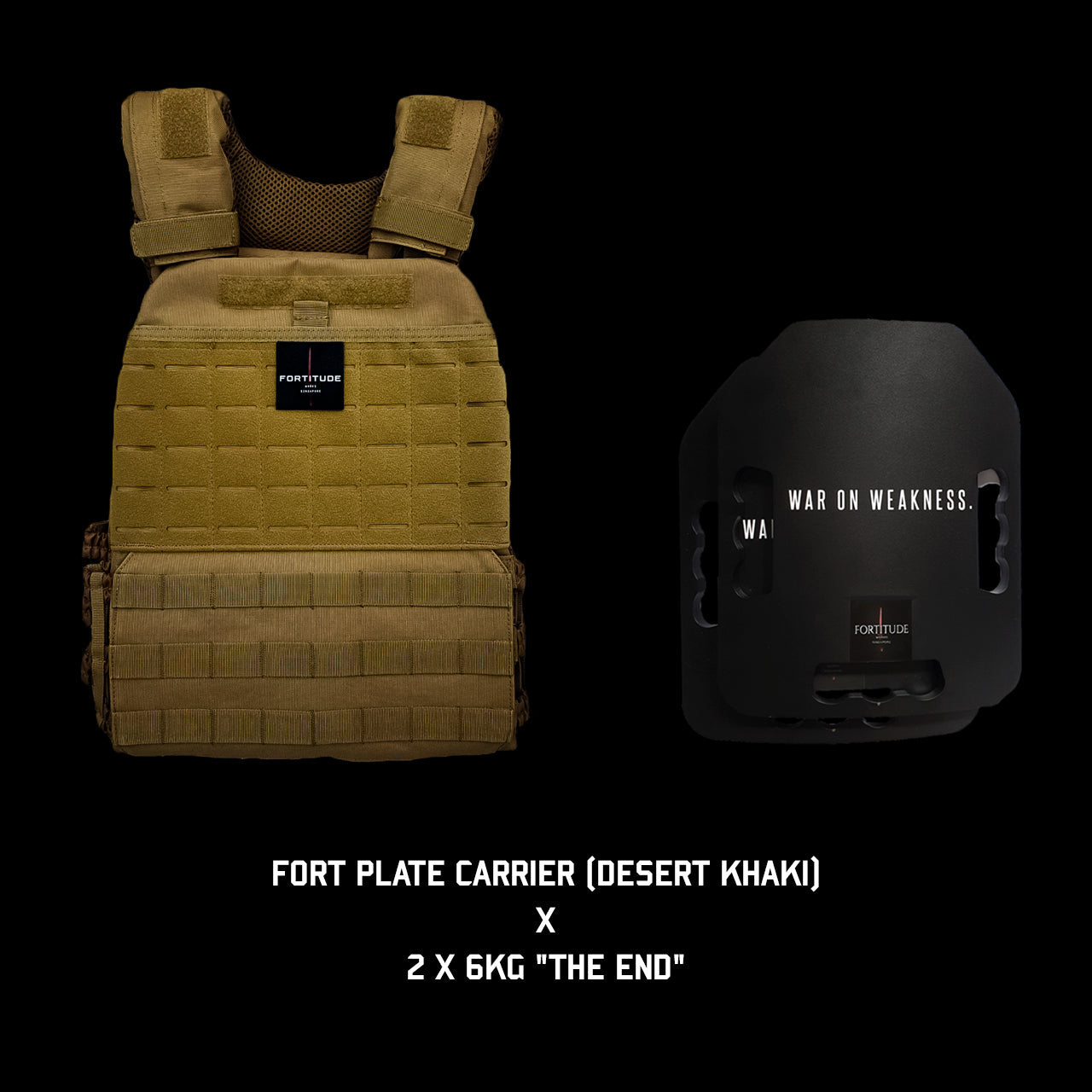 FORT Plate Carrier - FORTITUDE WORKS SINGAPORE