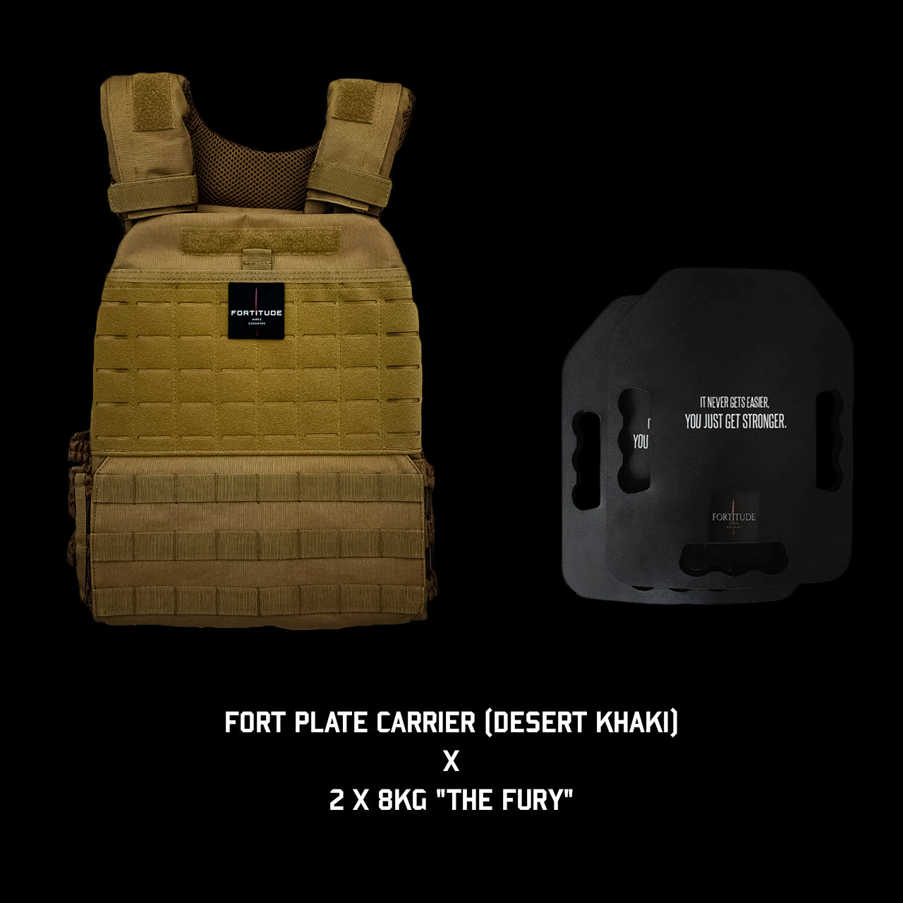 FORT Plate Carrier - FORTITUDE WORKS SINGAPORE
