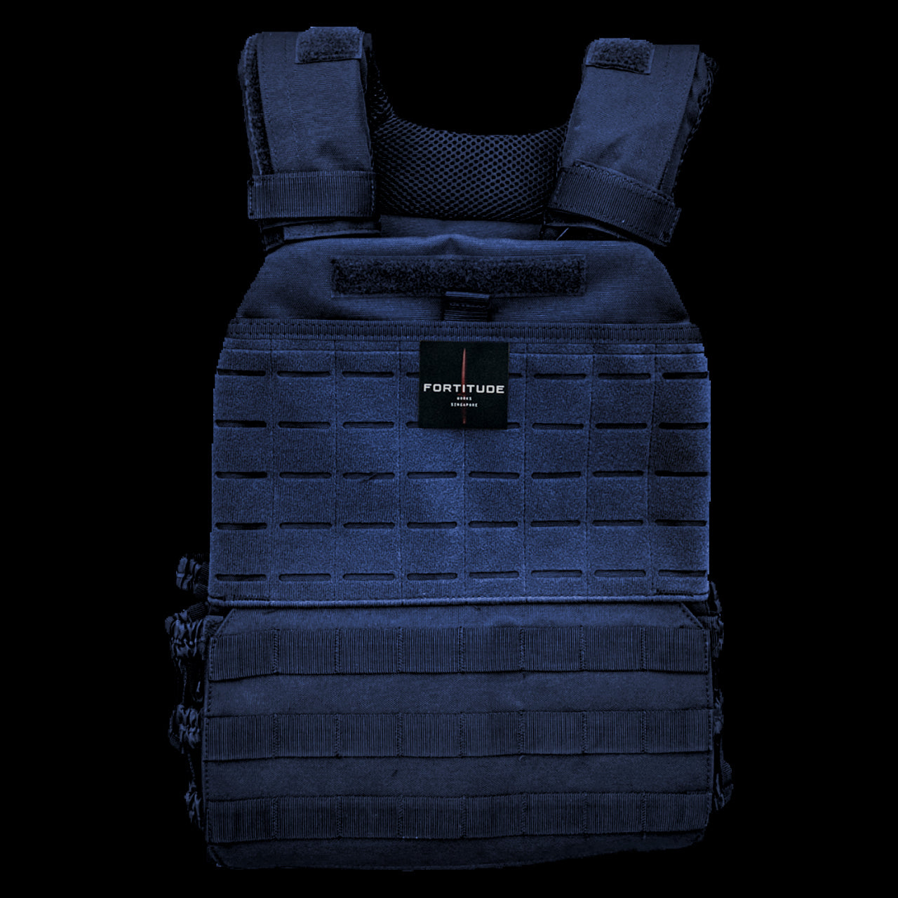 FORT Plate Carrier - FORTITUDE WORKS SINGAPORE