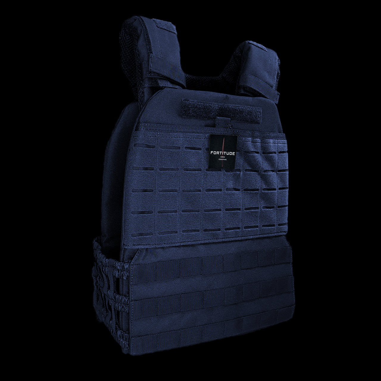 FORT Plate Carrier - FORTITUDE WORKS SINGAPORE