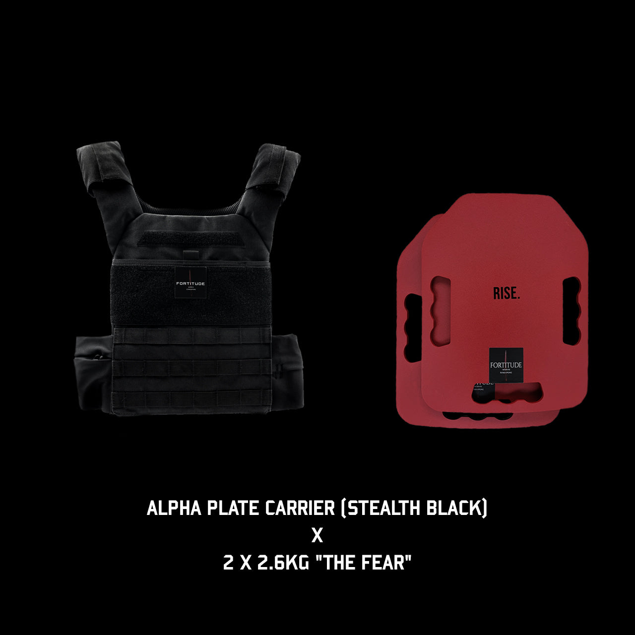 ALPHA Plate Carrier - FORTITUDE WORKS SINGAPORE