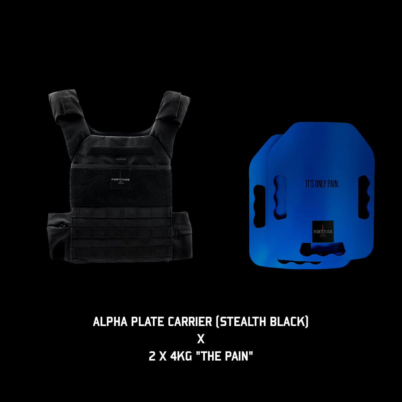 ALPHA Plate Carrier - FORTITUDE WORKS SINGAPORE