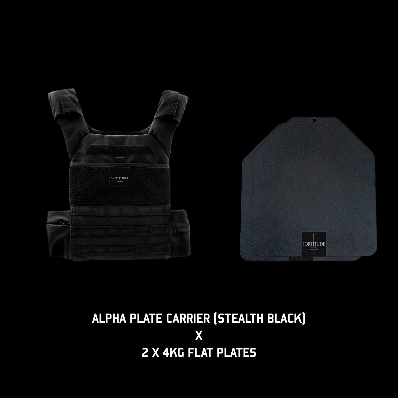 ALPHA Plate Carrier - FORTITUDE WORKS SINGAPORE