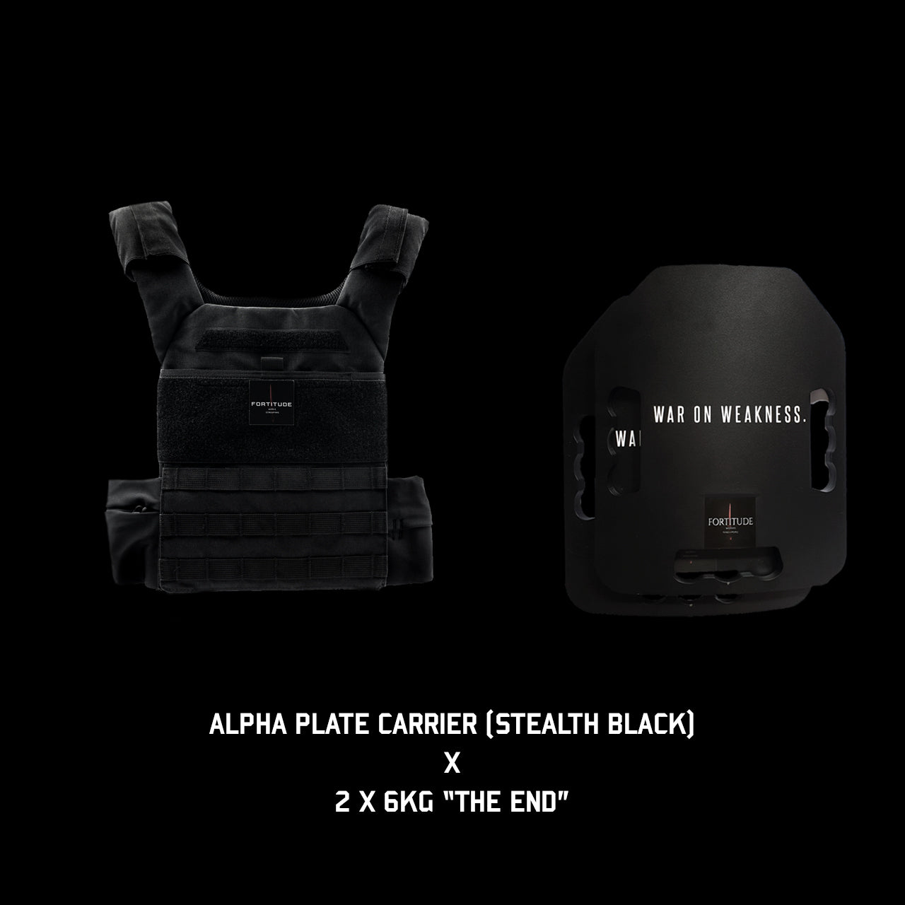 ALPHA Plate Carrier - FORTITUDE WORKS SINGAPORE