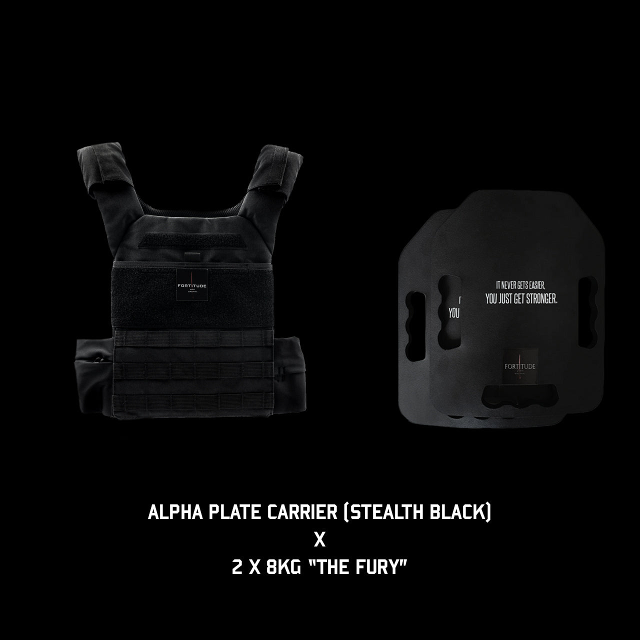 ALPHA Plate Carrier - FORTITUDE WORKS SINGAPORE