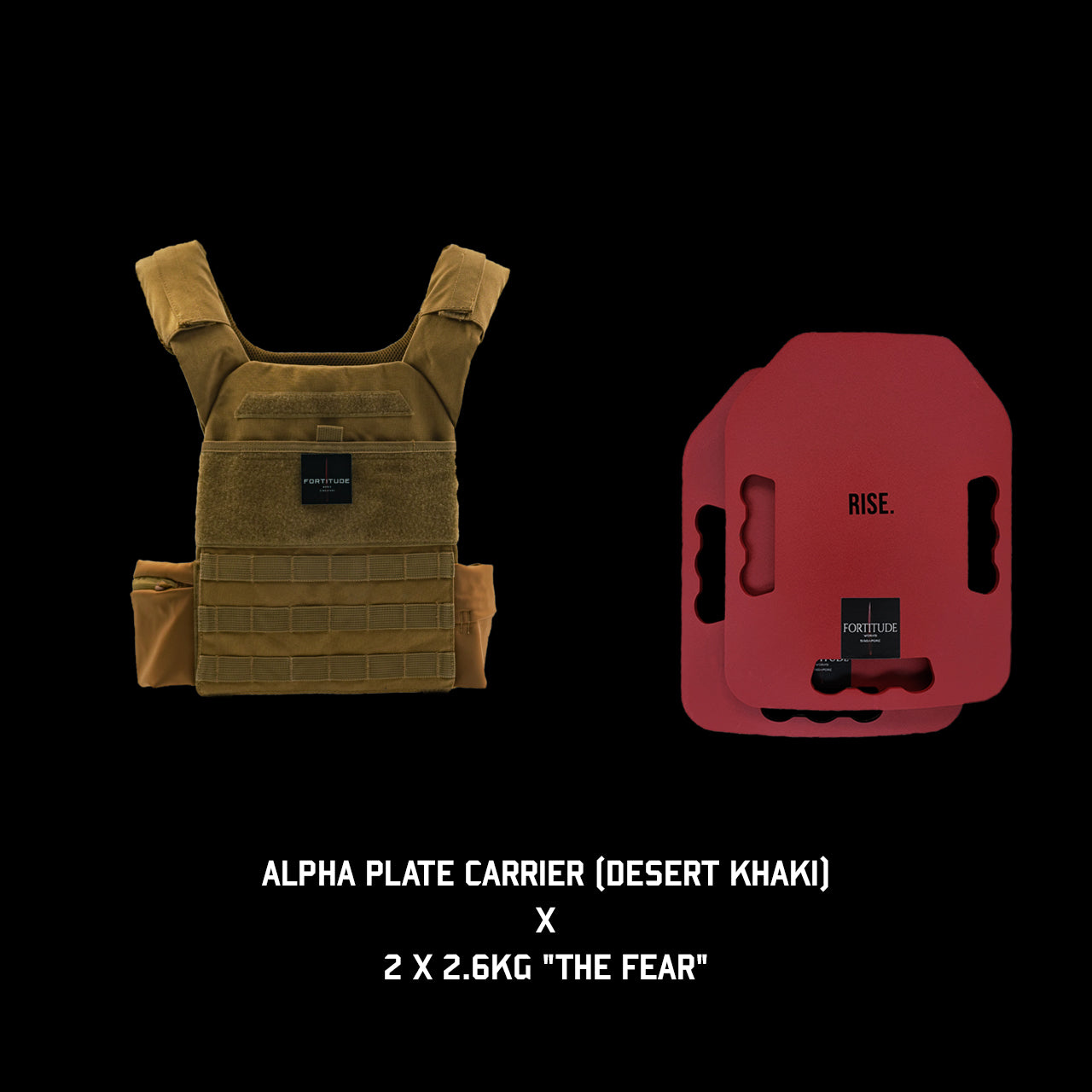 ALPHA Plate Carrier - FORTITUDE WORKS SINGAPORE