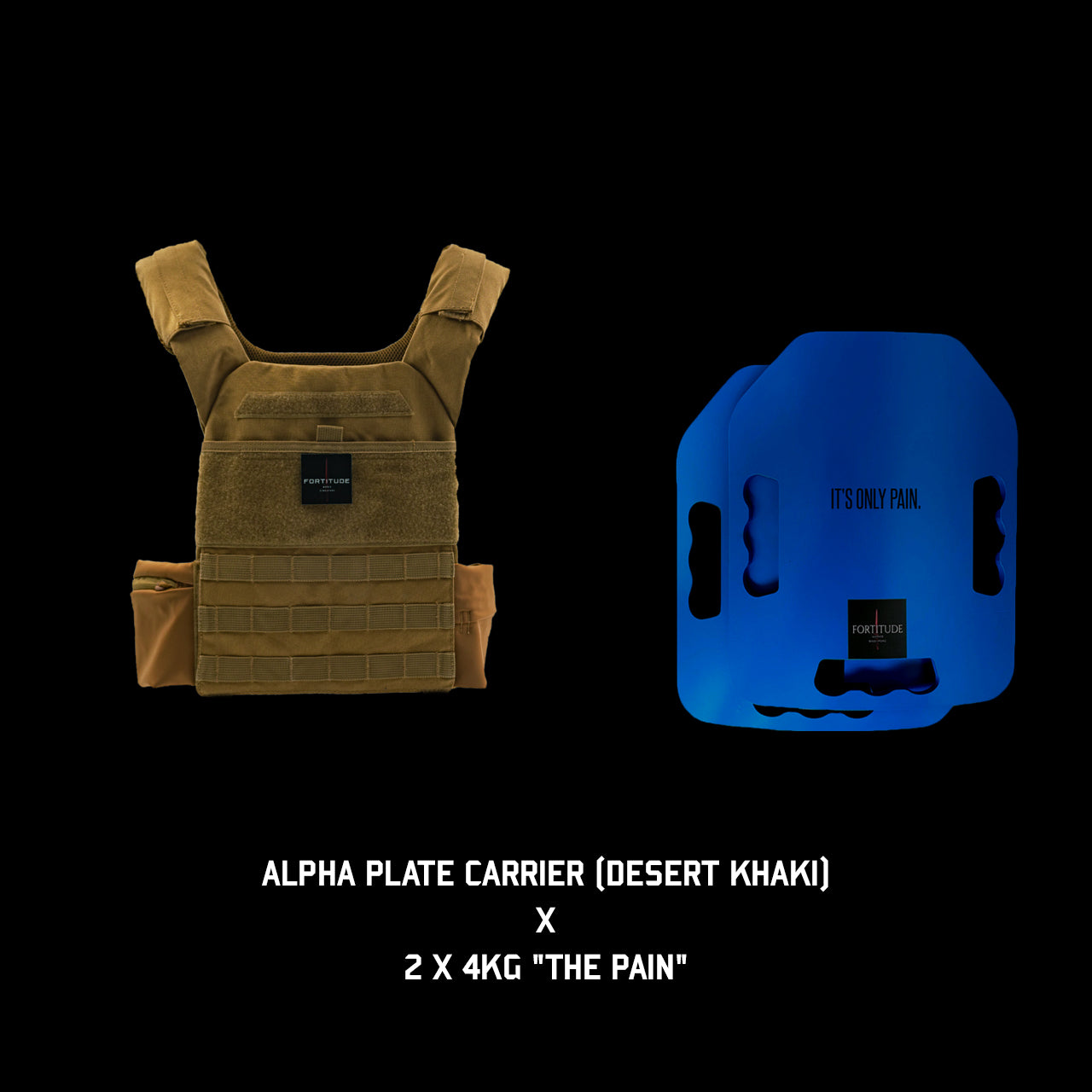 ALPHA Plate Carrier - FORTITUDE WORKS SINGAPORE