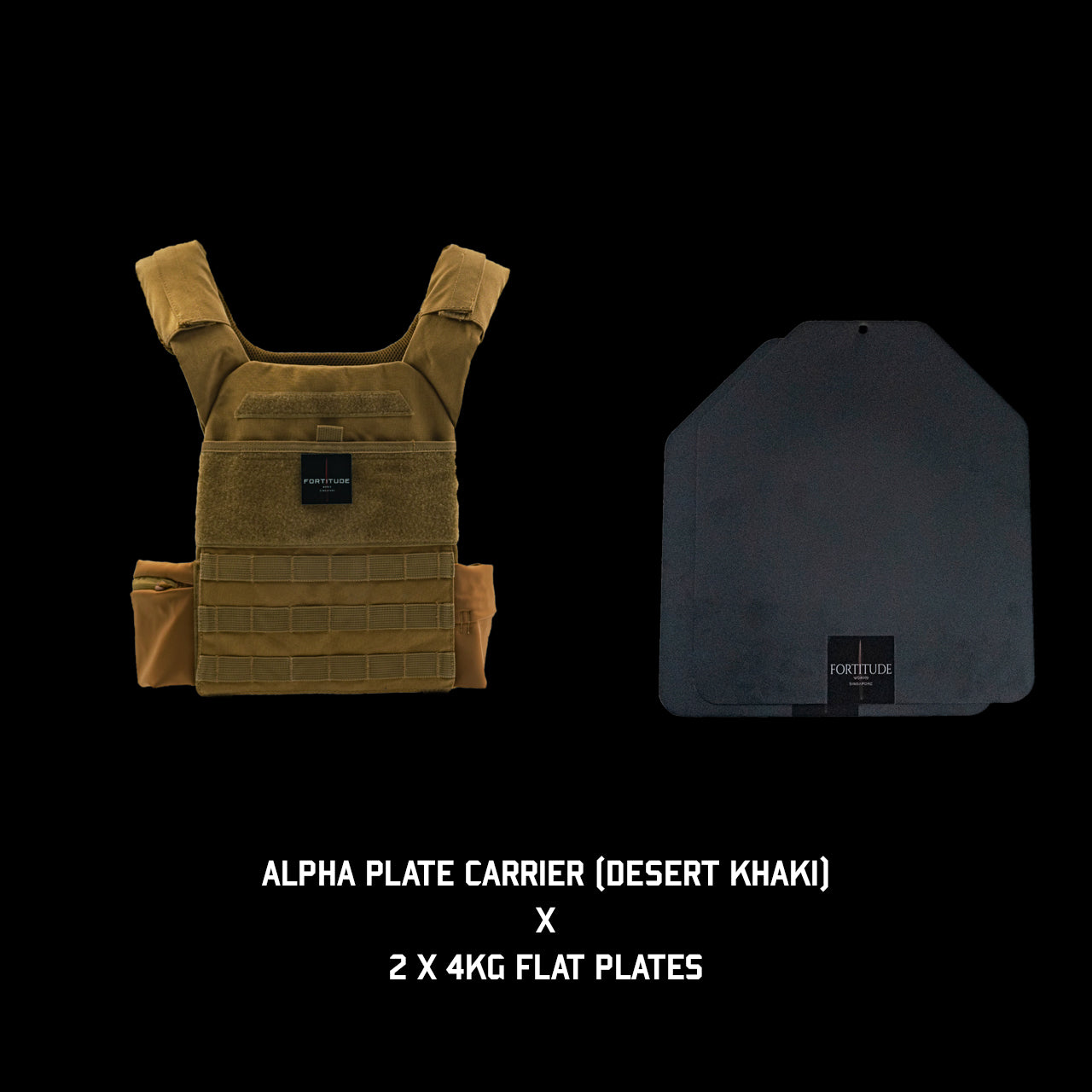 ALPHA Plate Carrier - FORTITUDE WORKS SINGAPORE