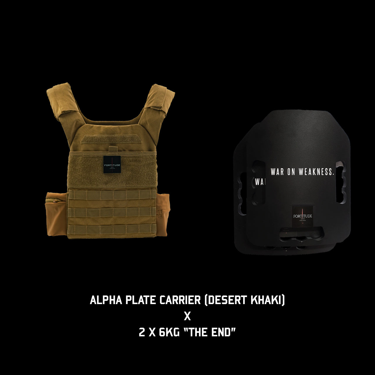 ALPHA Plate Carrier - FORTITUDE WORKS SINGAPORE