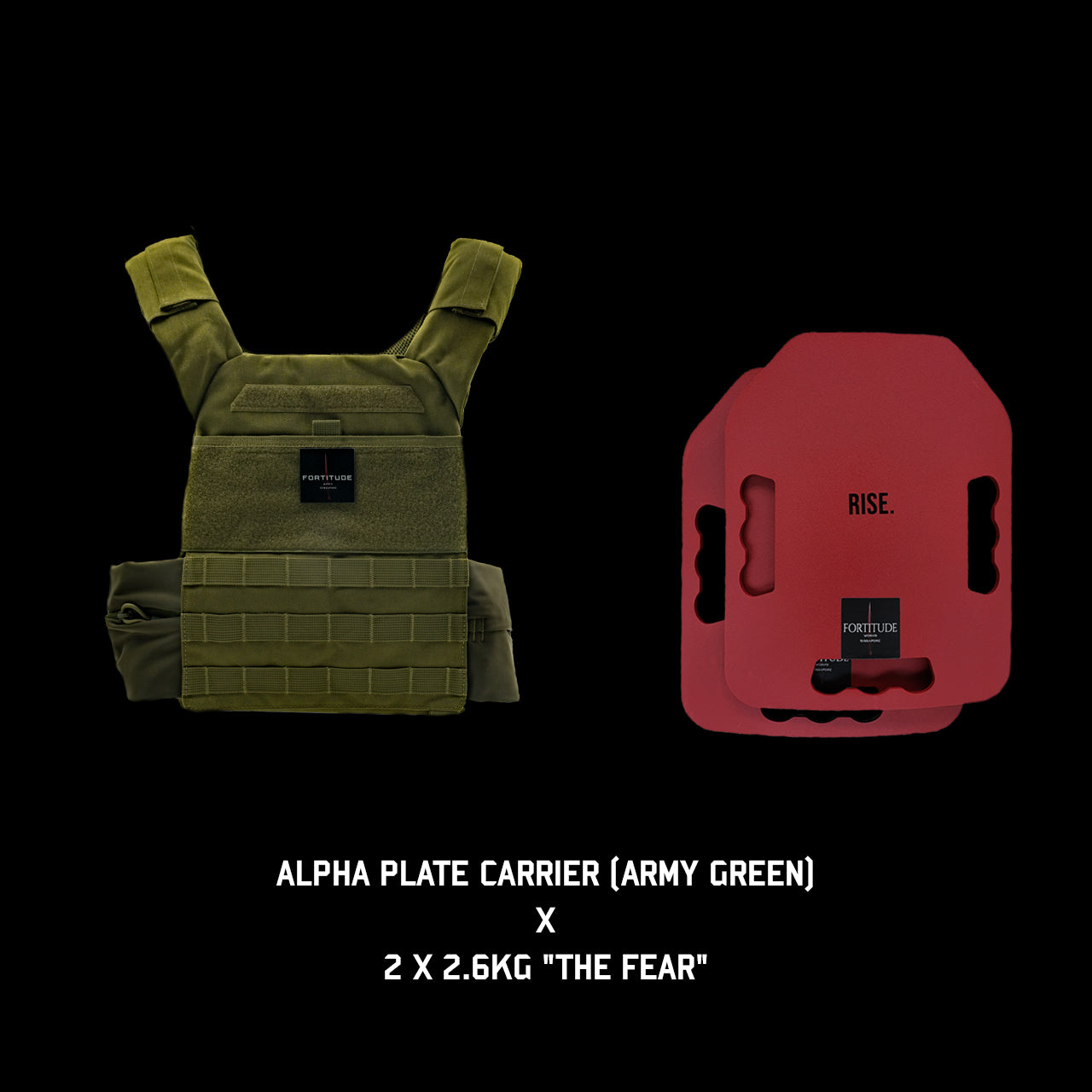 ALPHA Plate Carrier - FORTITUDE WORKS SINGAPORE