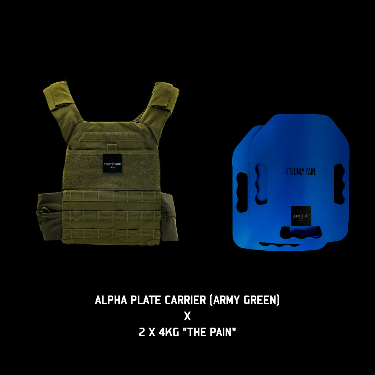 ALPHA Plate Carrier - FORTITUDE WORKS SINGAPORE