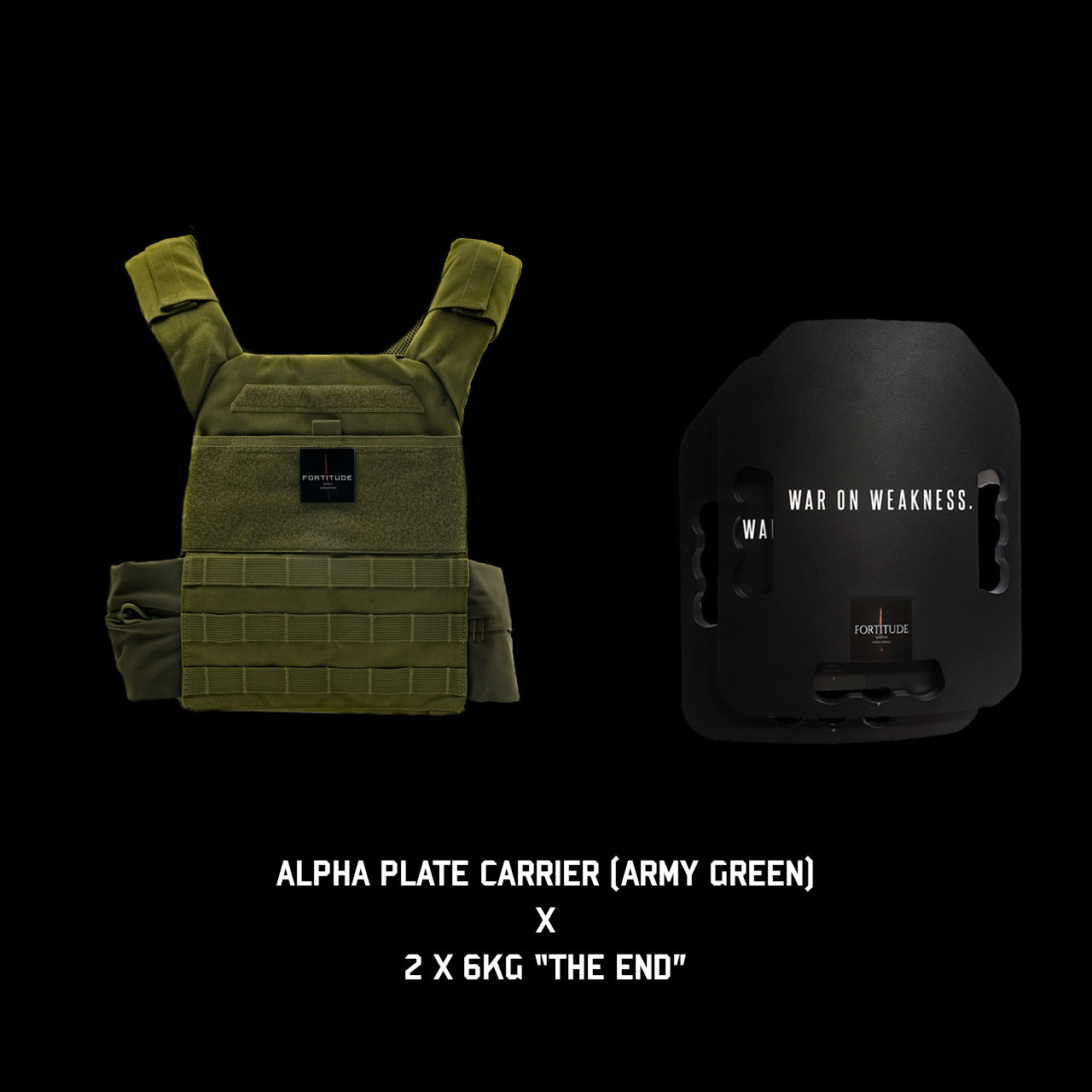 ALPHA Plate Carrier - FORTITUDE WORKS SINGAPORE