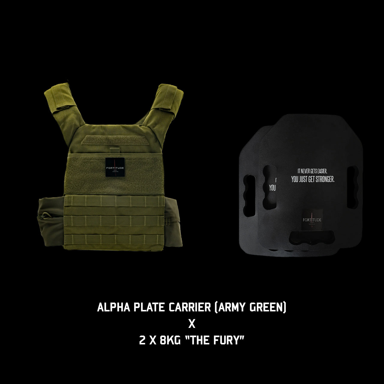 ALPHA Plate Carrier - FORTITUDE WORKS SINGAPORE