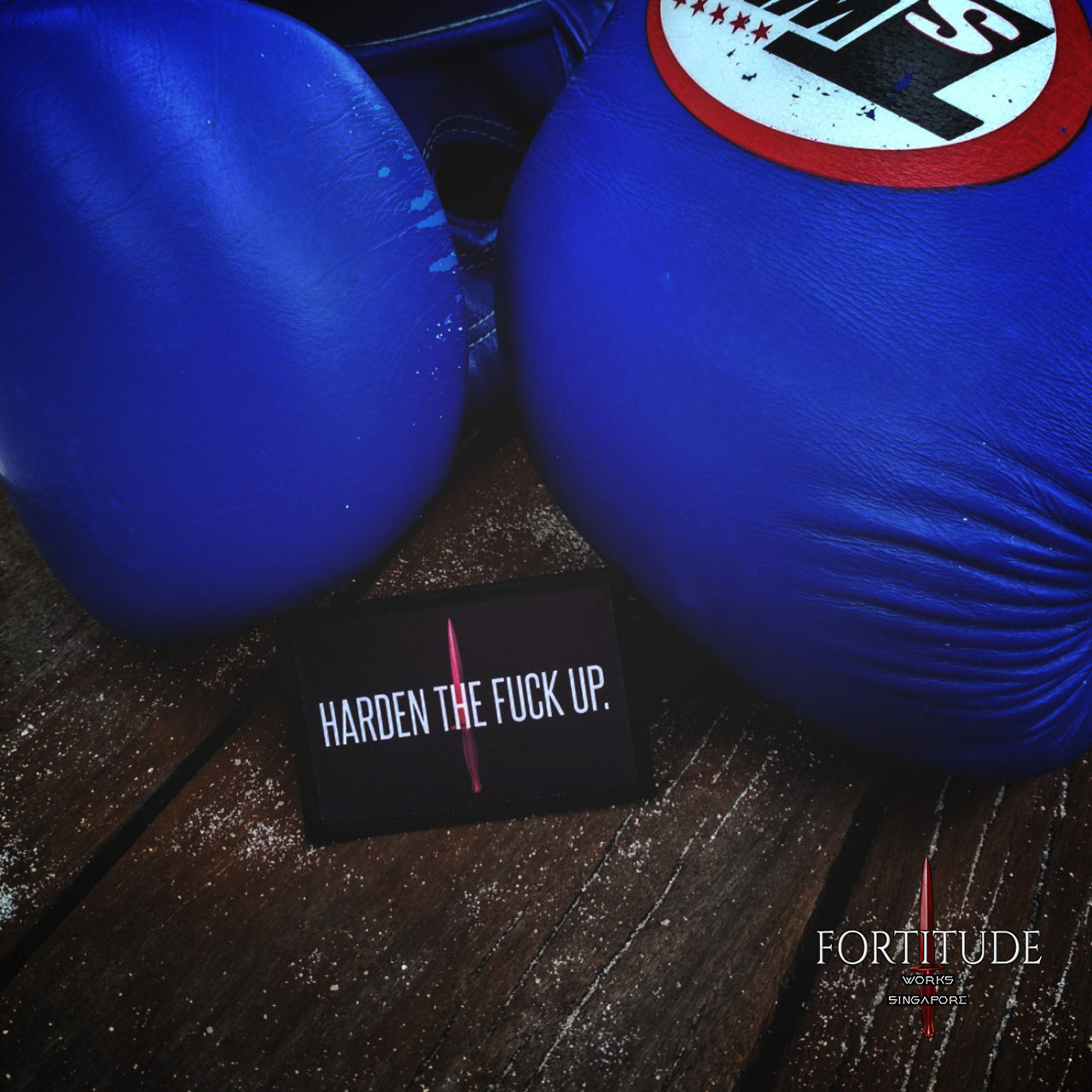 HARDEN THE FUCK UP - FORTITUDE WORKS SINGAPORE