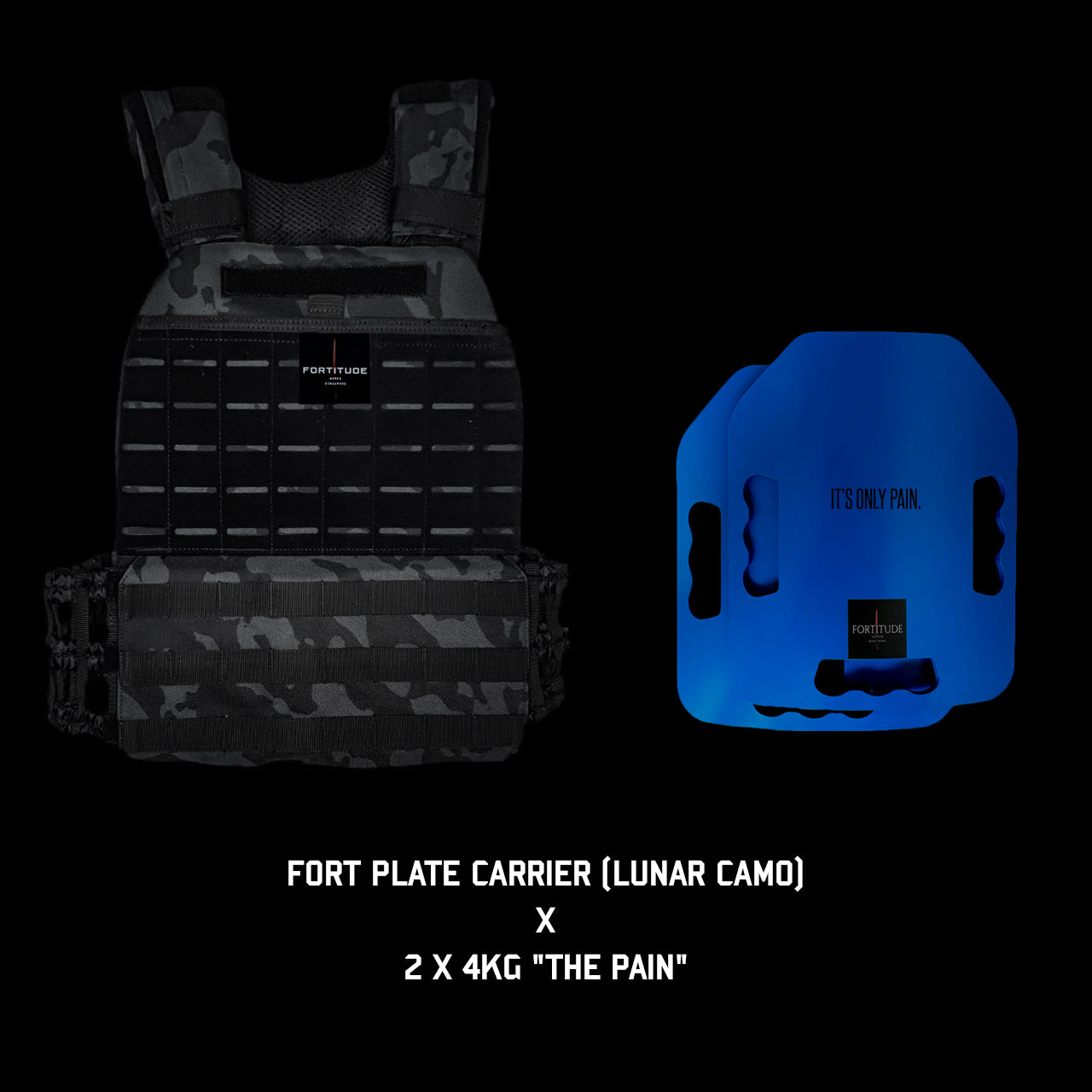 FORT Plate Carrier - FORTITUDE WORKS SINGAPORE