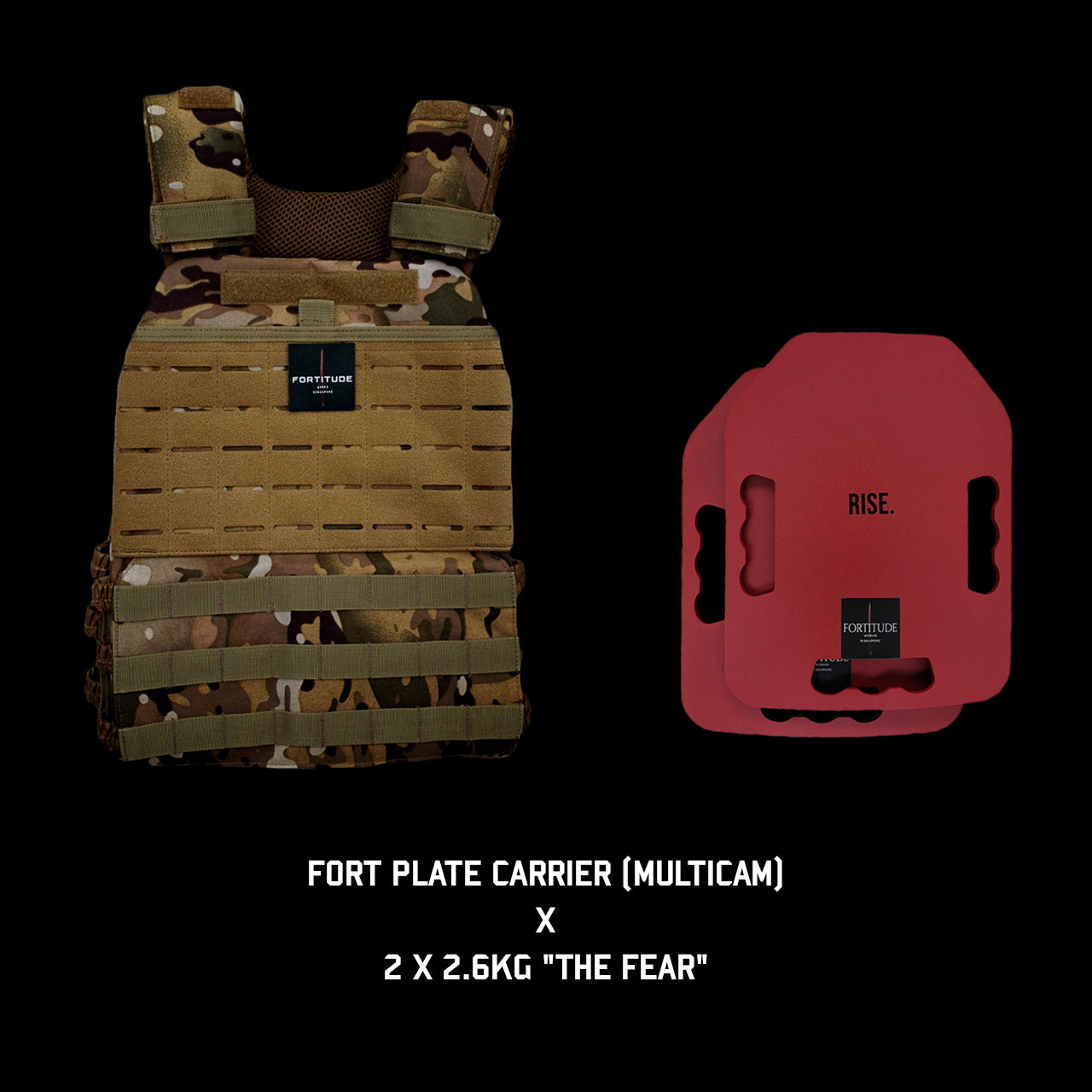 FORT Plate Carrier - FORTITUDE WORKS SINGAPORE