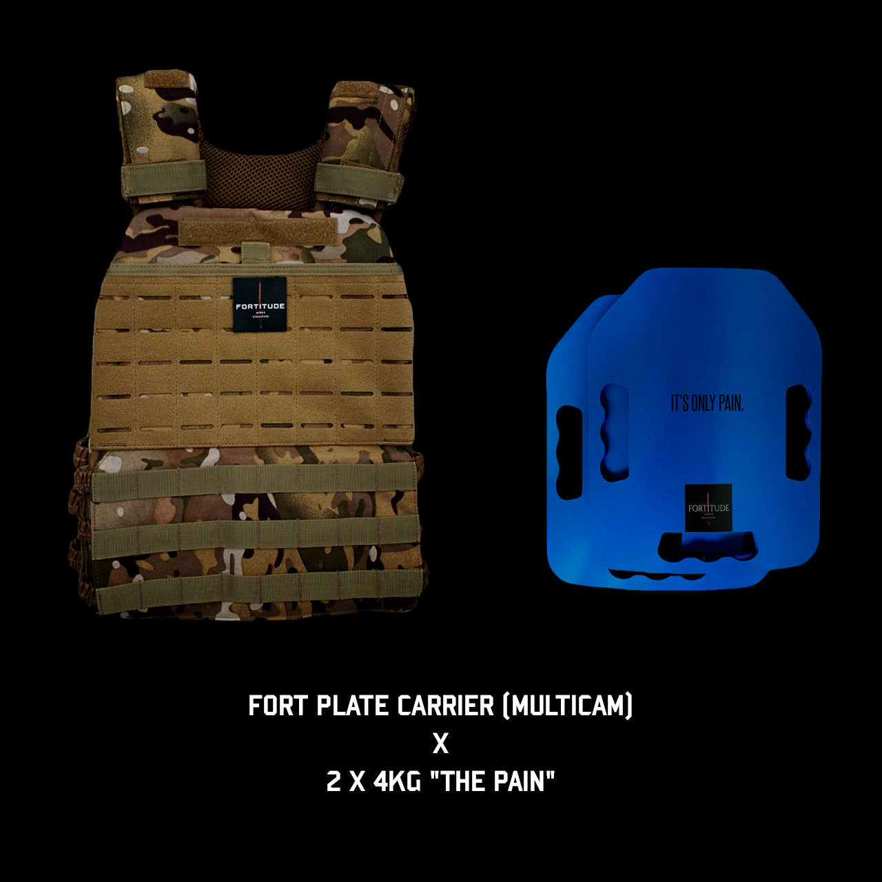 FORT Plate Carrier - FORTITUDE WORKS SINGAPORE
