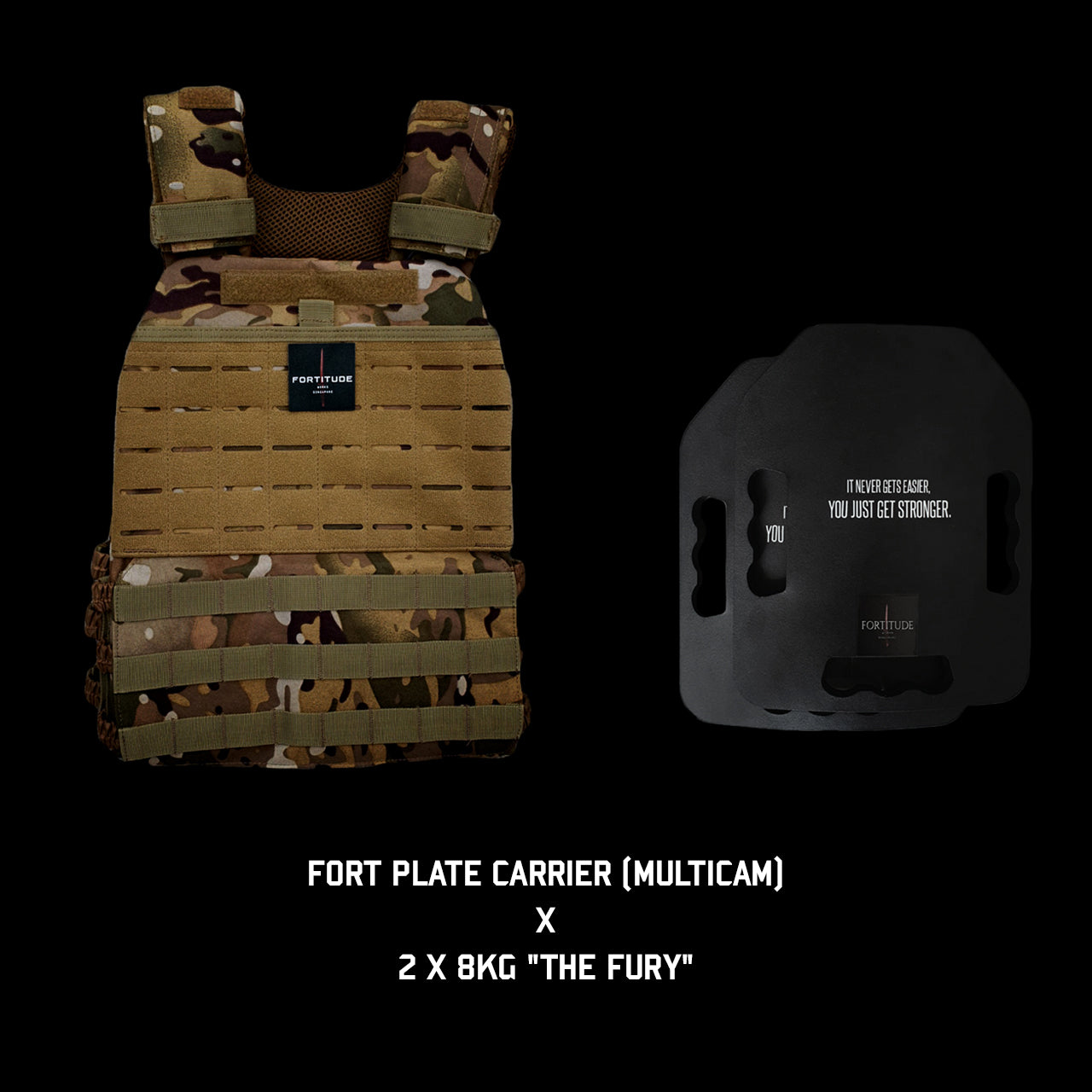 FORT Plate Carrier - FORTITUDE WORKS SINGAPORE