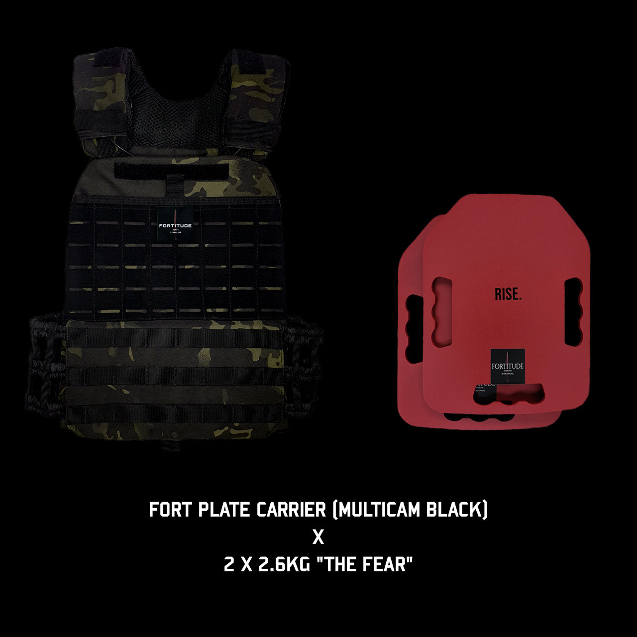 FORT Plate Carrier - FORTITUDE WORKS SINGAPORE