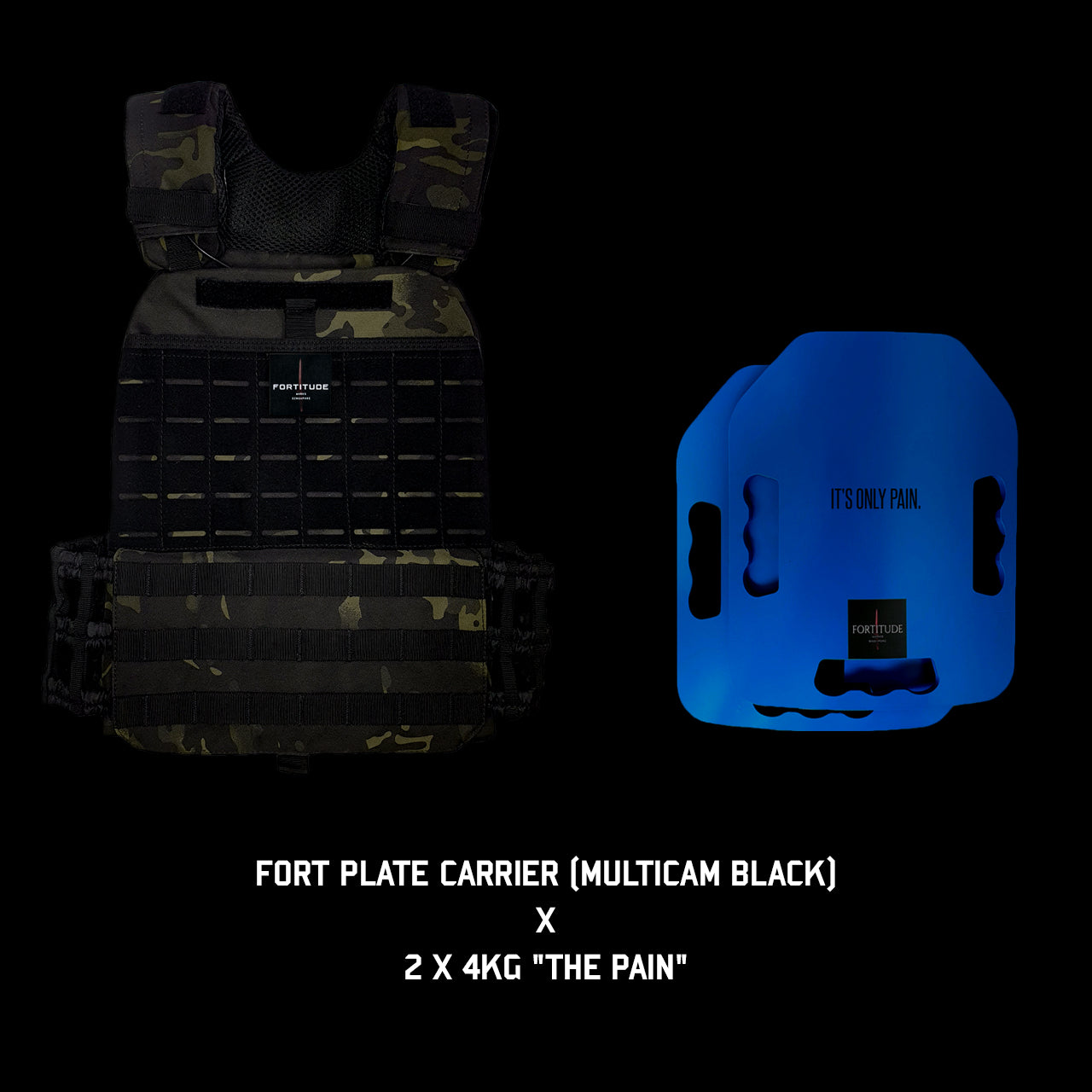 FORT Plate Carrier - FORTITUDE WORKS SINGAPORE