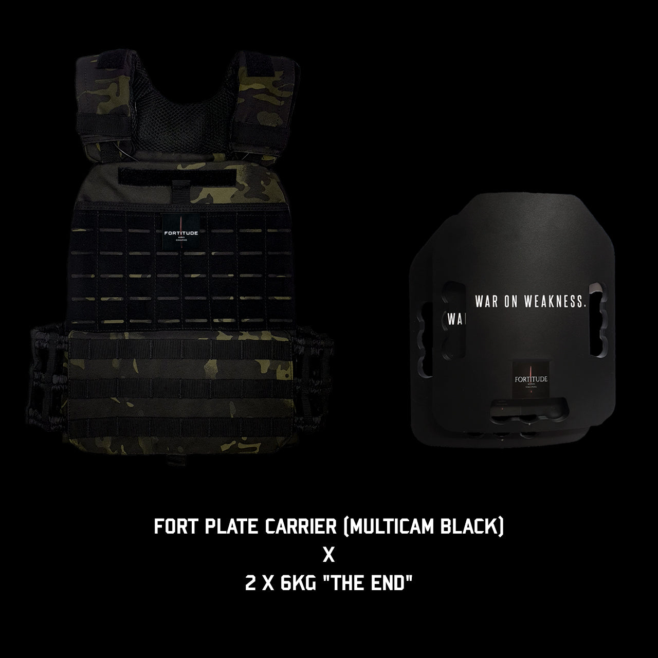 FORT Plate Carrier - FORTITUDE WORKS SINGAPORE