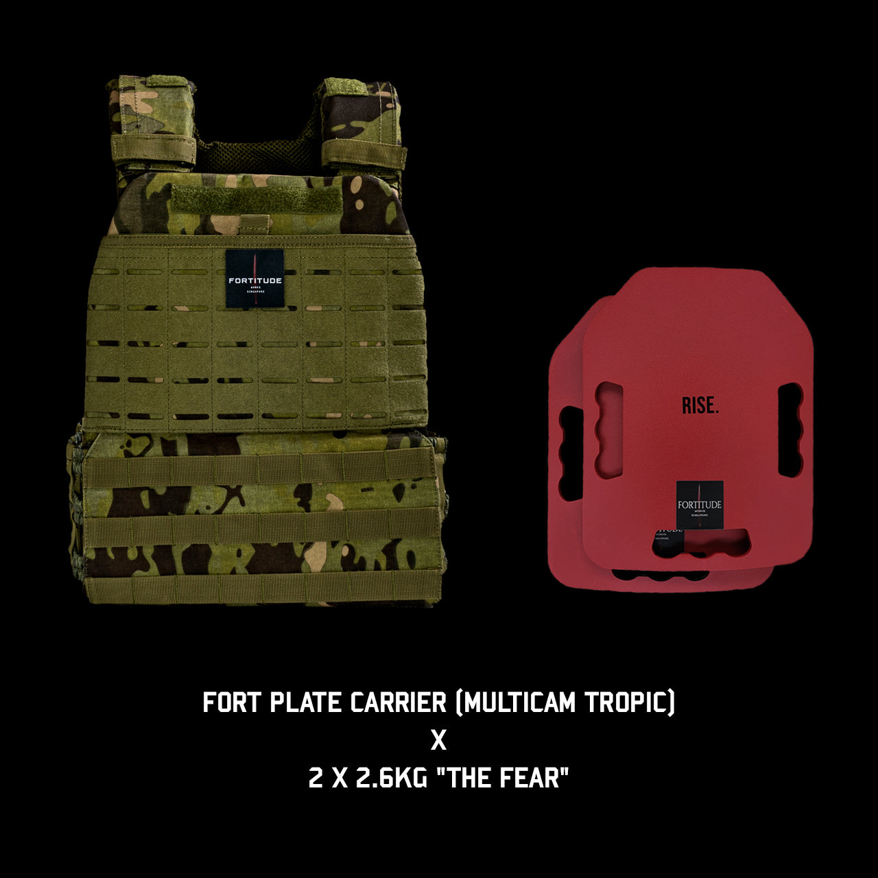 FORT Plate Carrier - FORTITUDE WORKS SINGAPORE