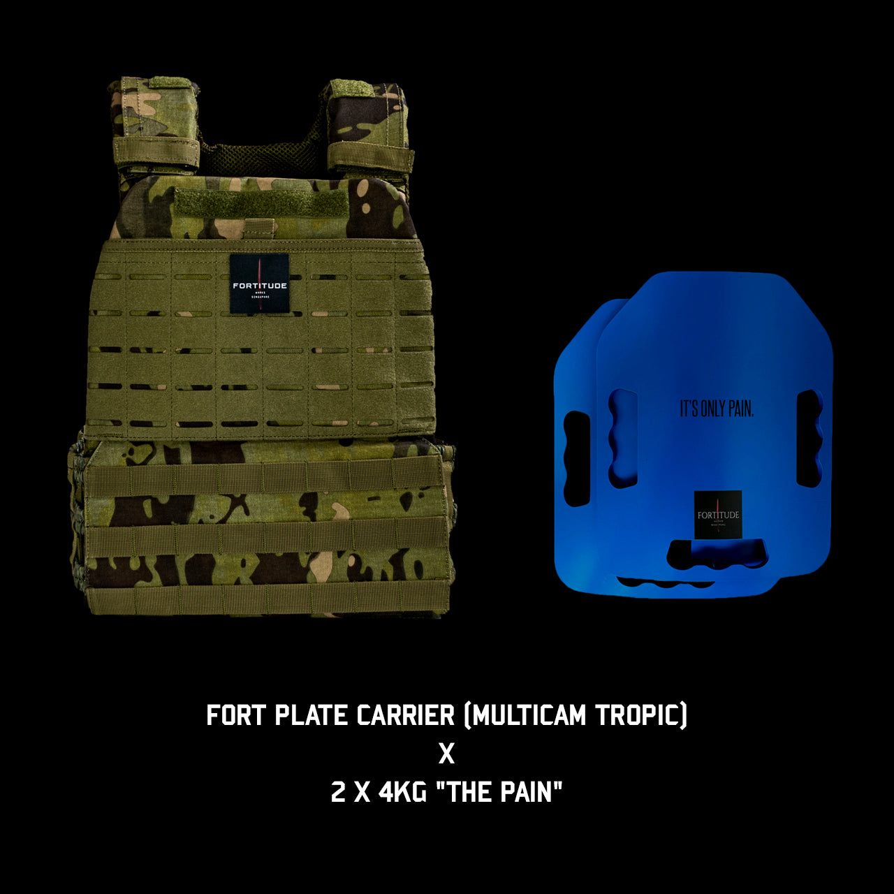 FORT Plate Carrier - FORTITUDE WORKS SINGAPORE