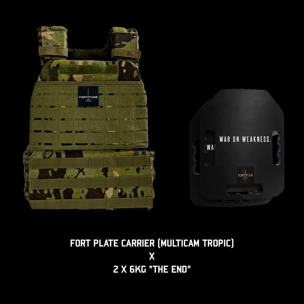 FORT Plate Carrier - FORTITUDE WORKS SINGAPORE