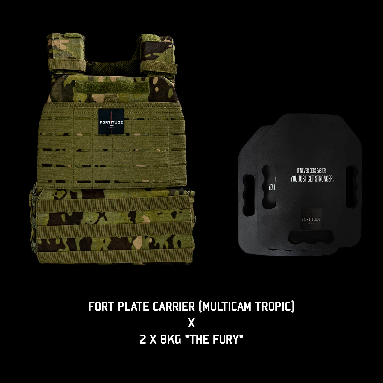 FORT Plate Carrier - FORTITUDE WORKS SINGAPORE