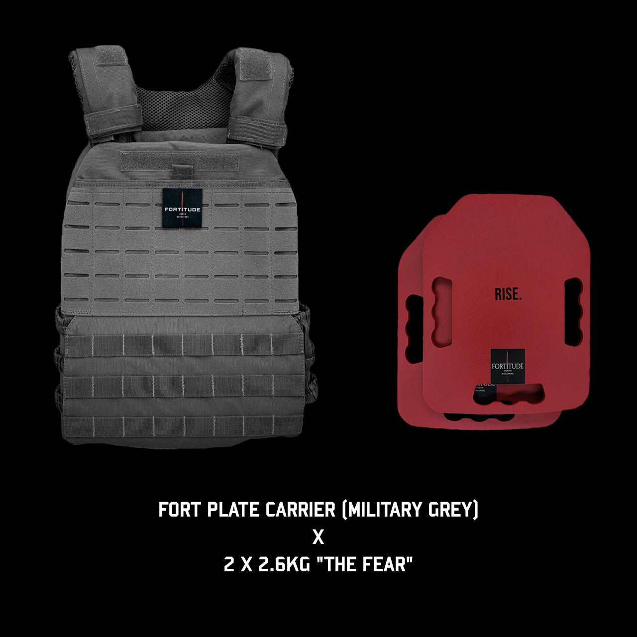 FORT Plate Carrier - FORTITUDE WORKS SINGAPORE