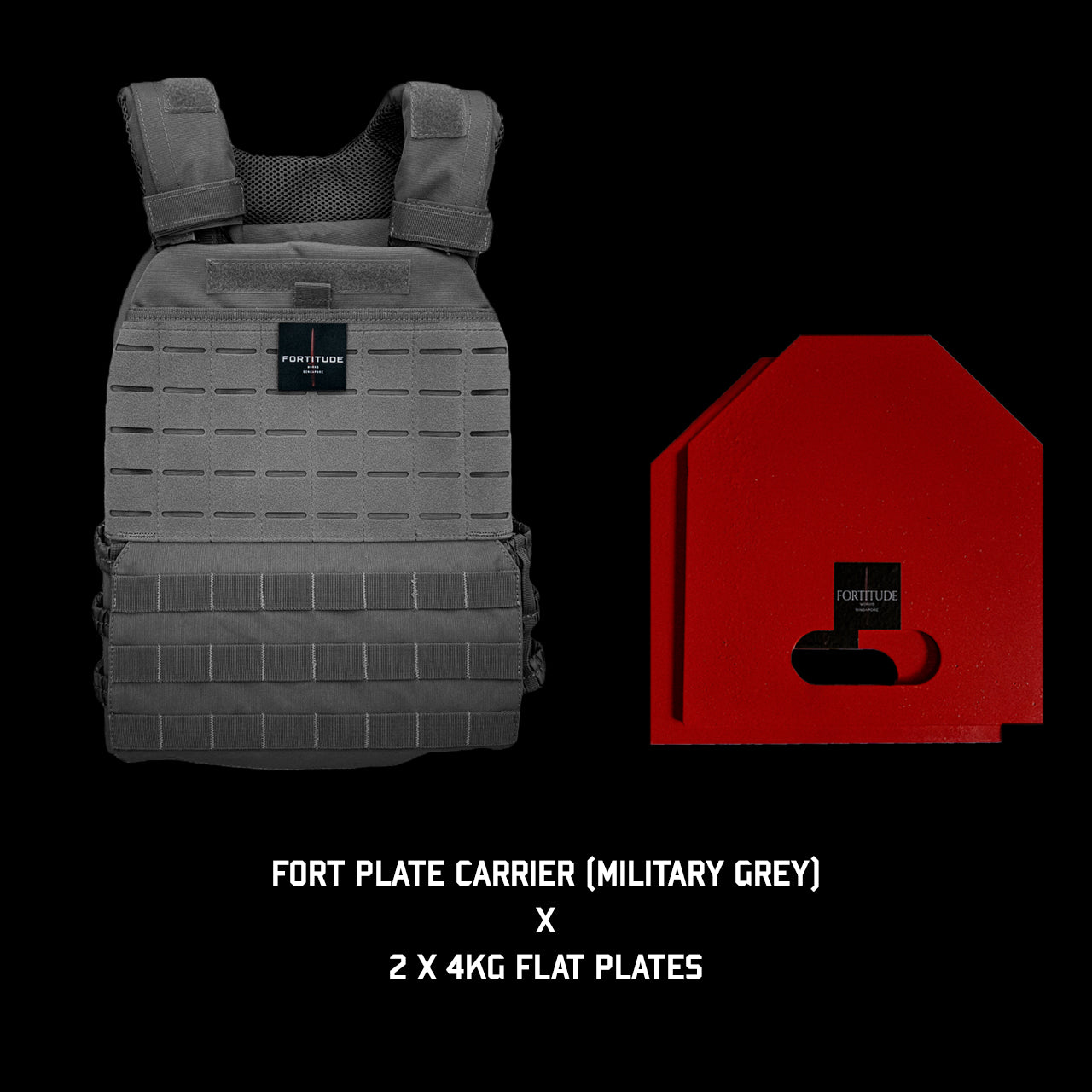 FORT Plate Carrier - FORTITUDE WORKS SINGAPORE