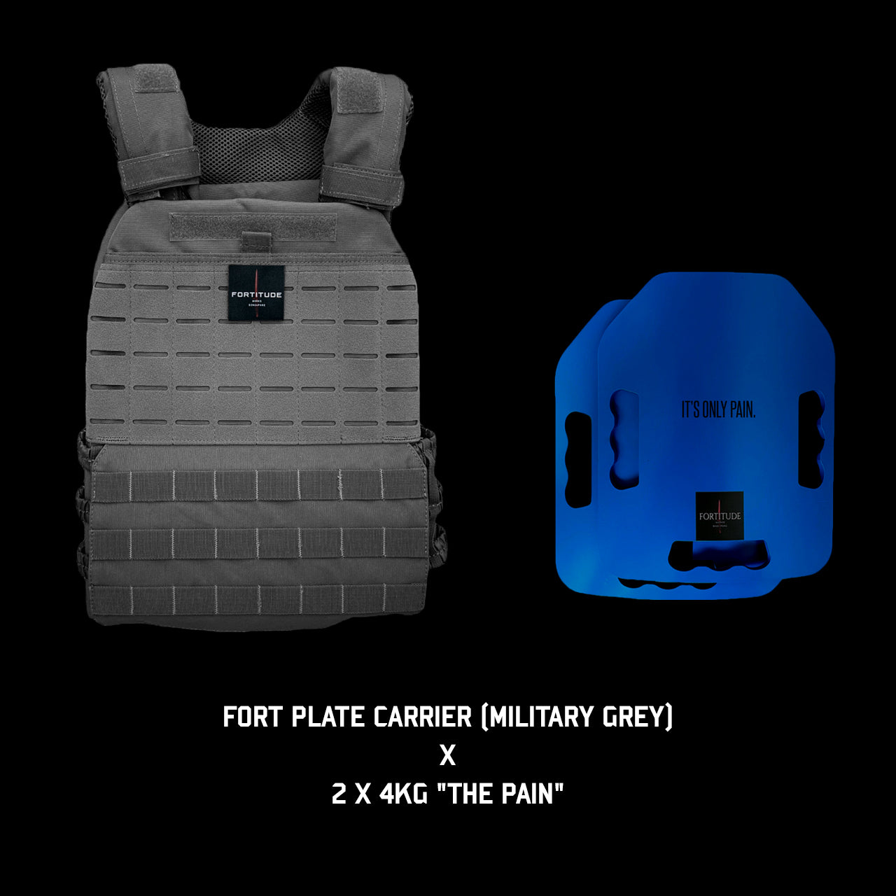 FORT Plate Carrier - FORTITUDE WORKS SINGAPORE