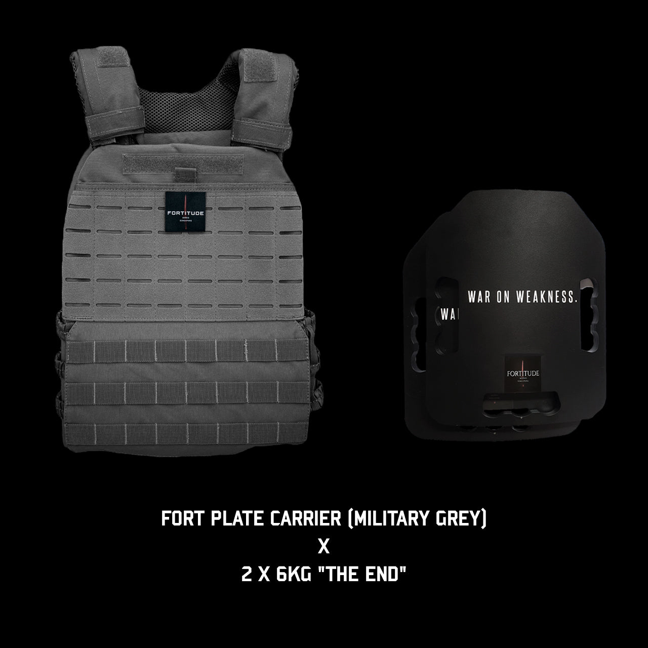 FORT Plate Carrier - FORTITUDE WORKS SINGAPORE