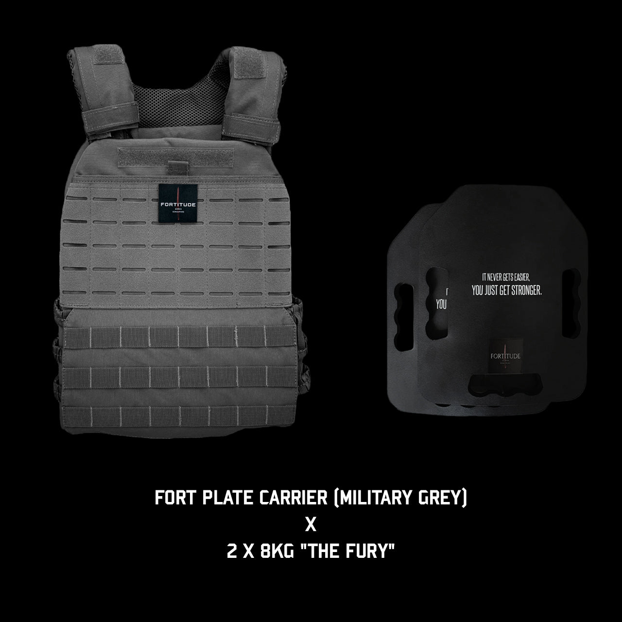 FORT Plate Carrier - FORTITUDE WORKS SINGAPORE