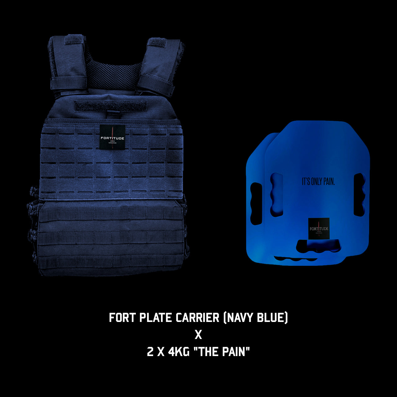 FORT Plate Carrier - FORTITUDE WORKS SINGAPORE