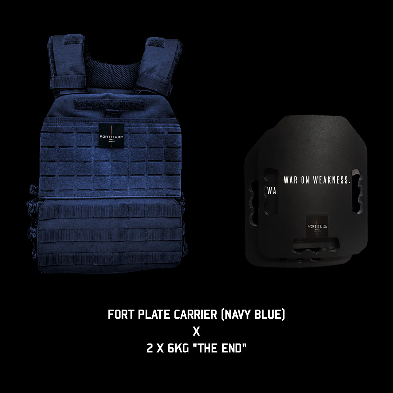 FORT Plate Carrier - FORTITUDE WORKS SINGAPORE