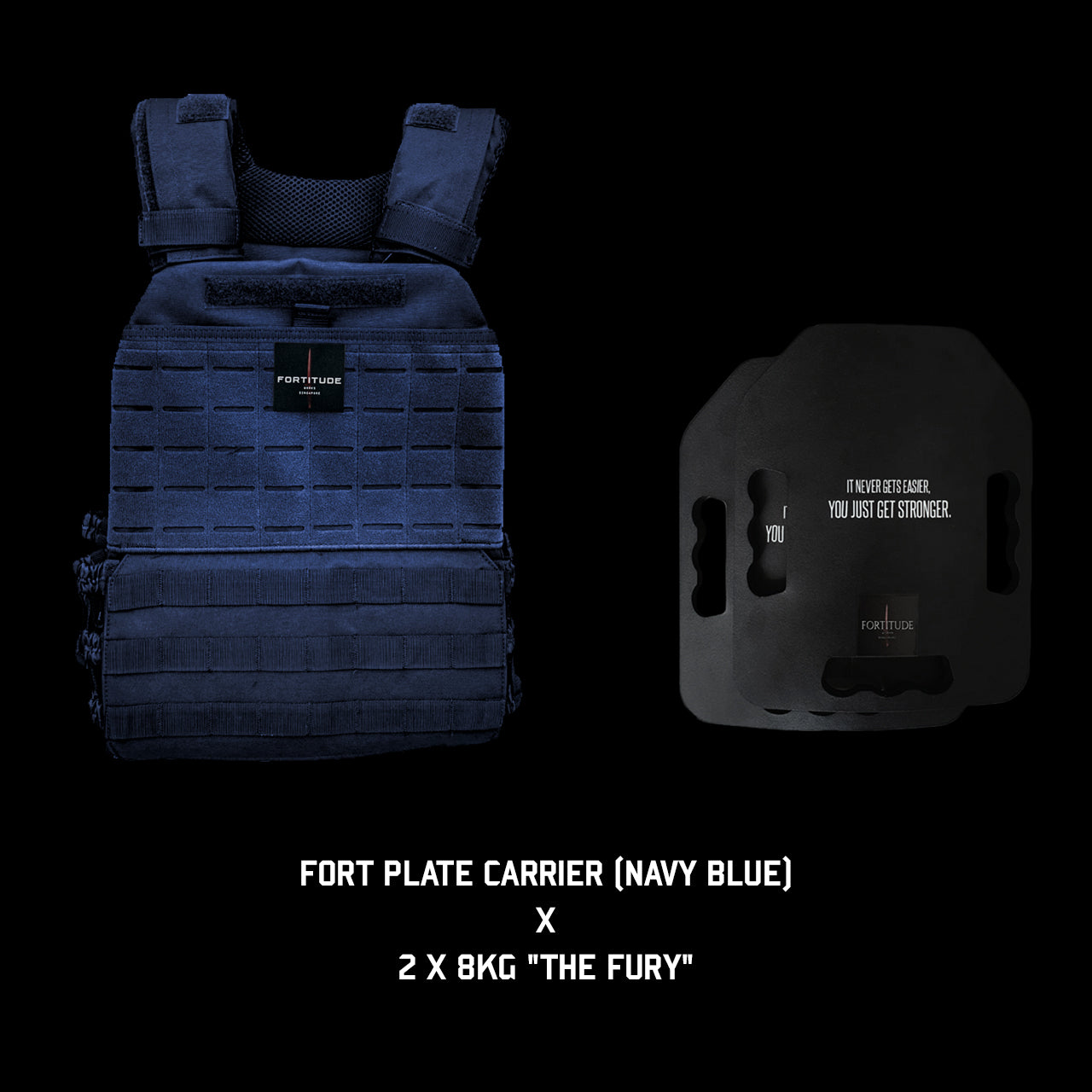 FORT Plate Carrier - FORTITUDE WORKS SINGAPORE