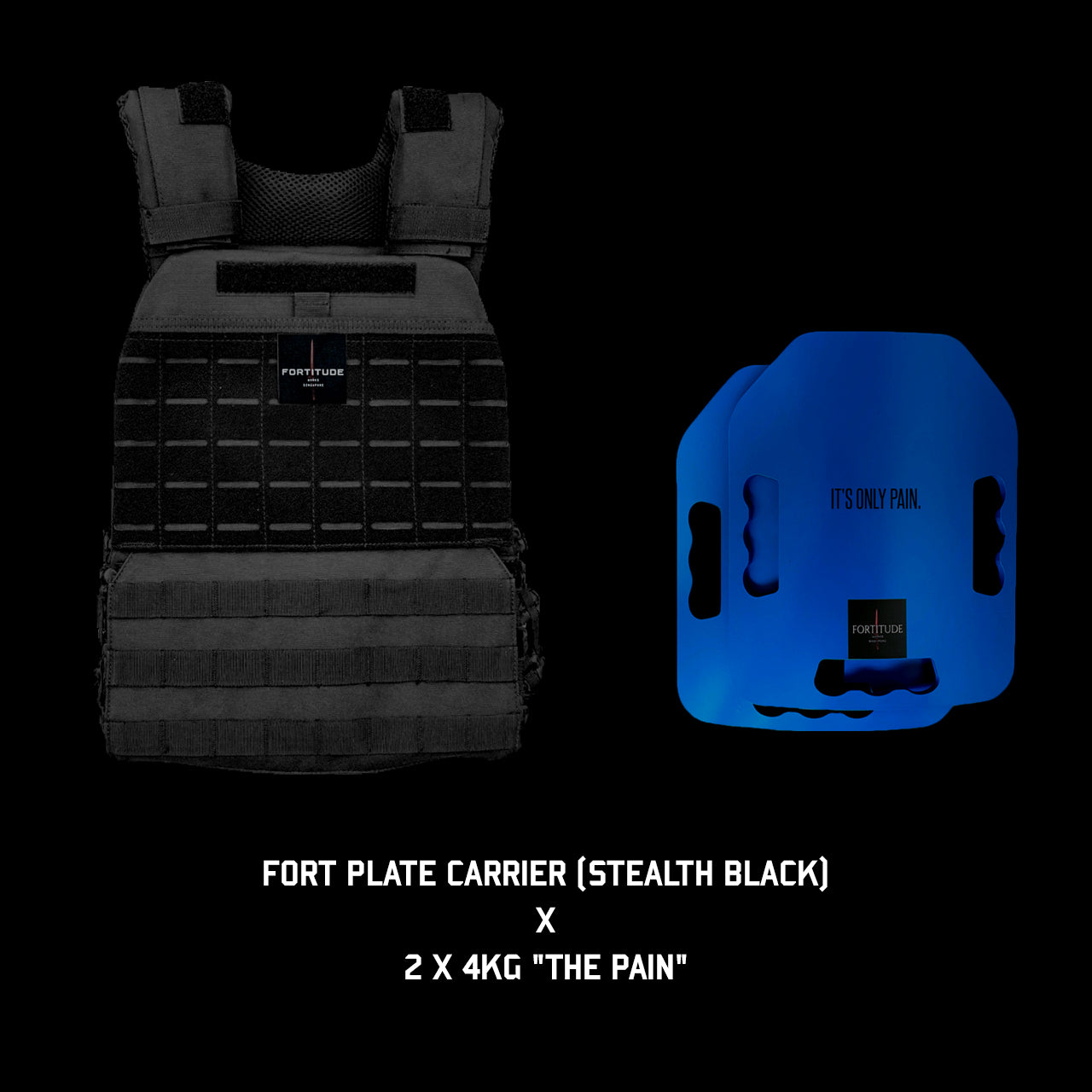FORT Plate Carrier - FORTITUDE WORKS SINGAPORE