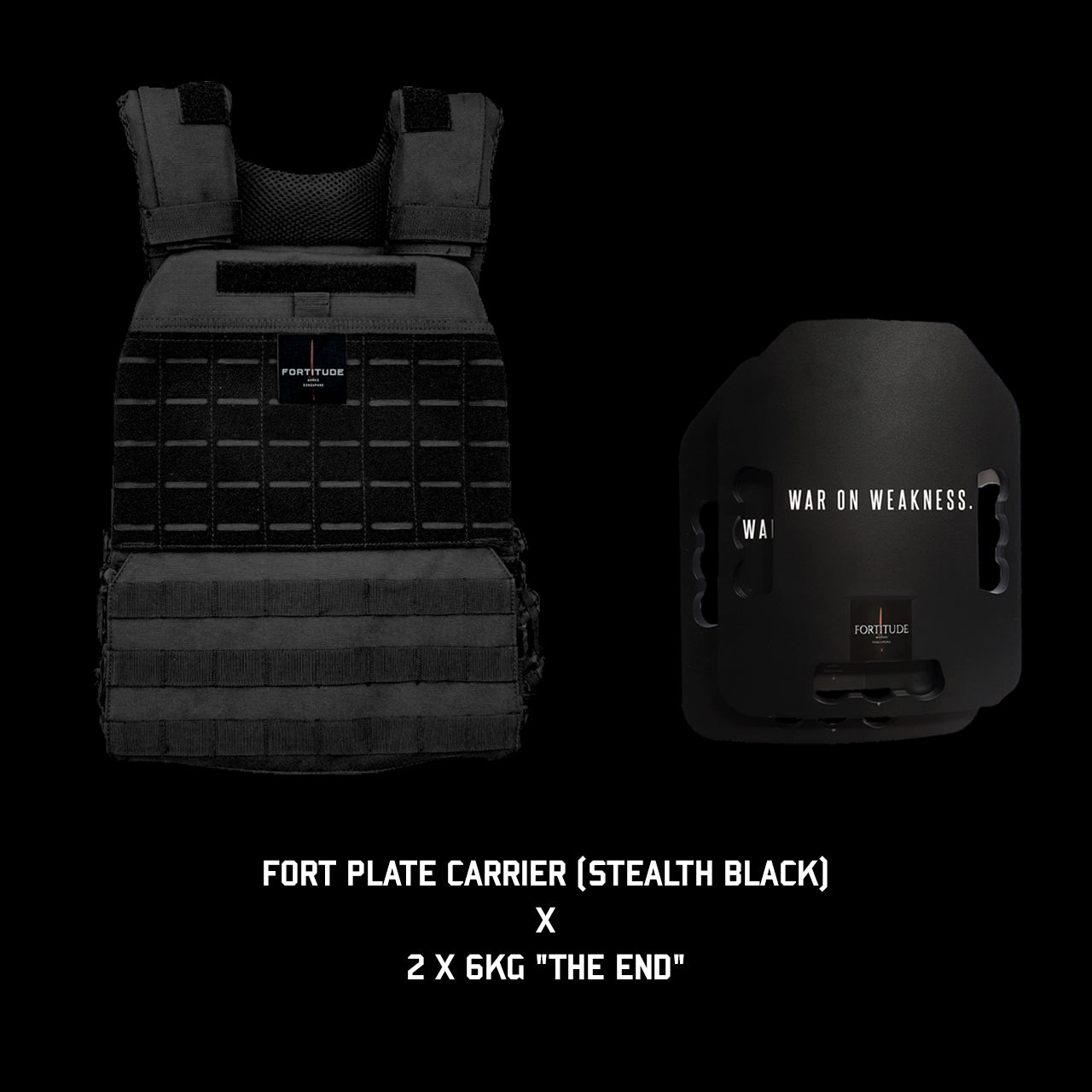 FORT Plate Carrier - FORTITUDE WORKS SINGAPORE