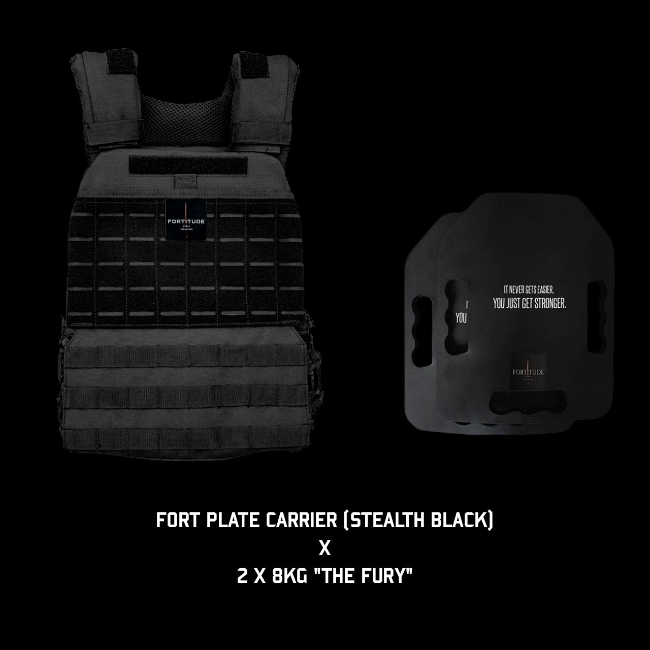 FORT Plate Carrier - FORTITUDE WORKS SINGAPORE