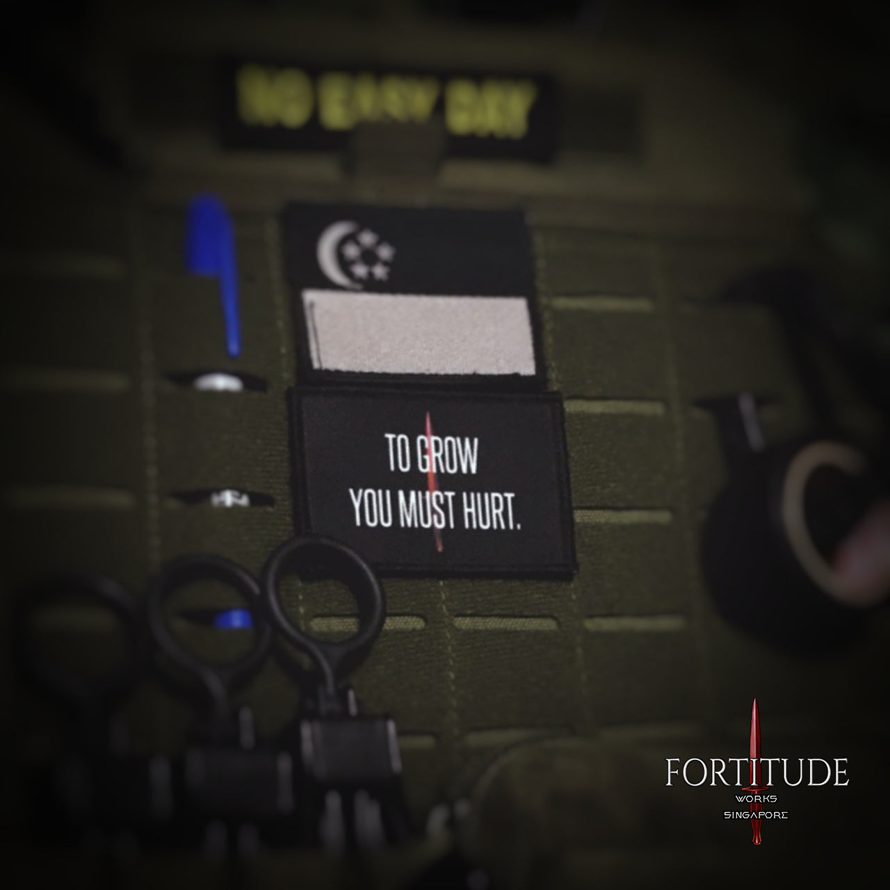 TO GROW YOU MUST HURT - FORTITUDE WORKS SINGAPORE