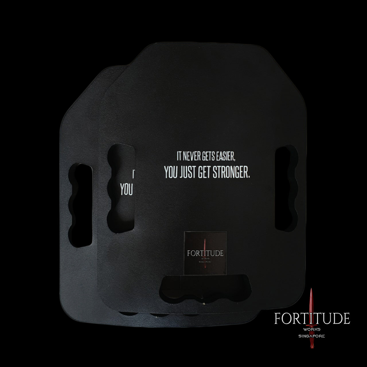 2 X 8 KG "The Fury" (16 KG Set) - FORTITUDE WORKS SINGAPORE