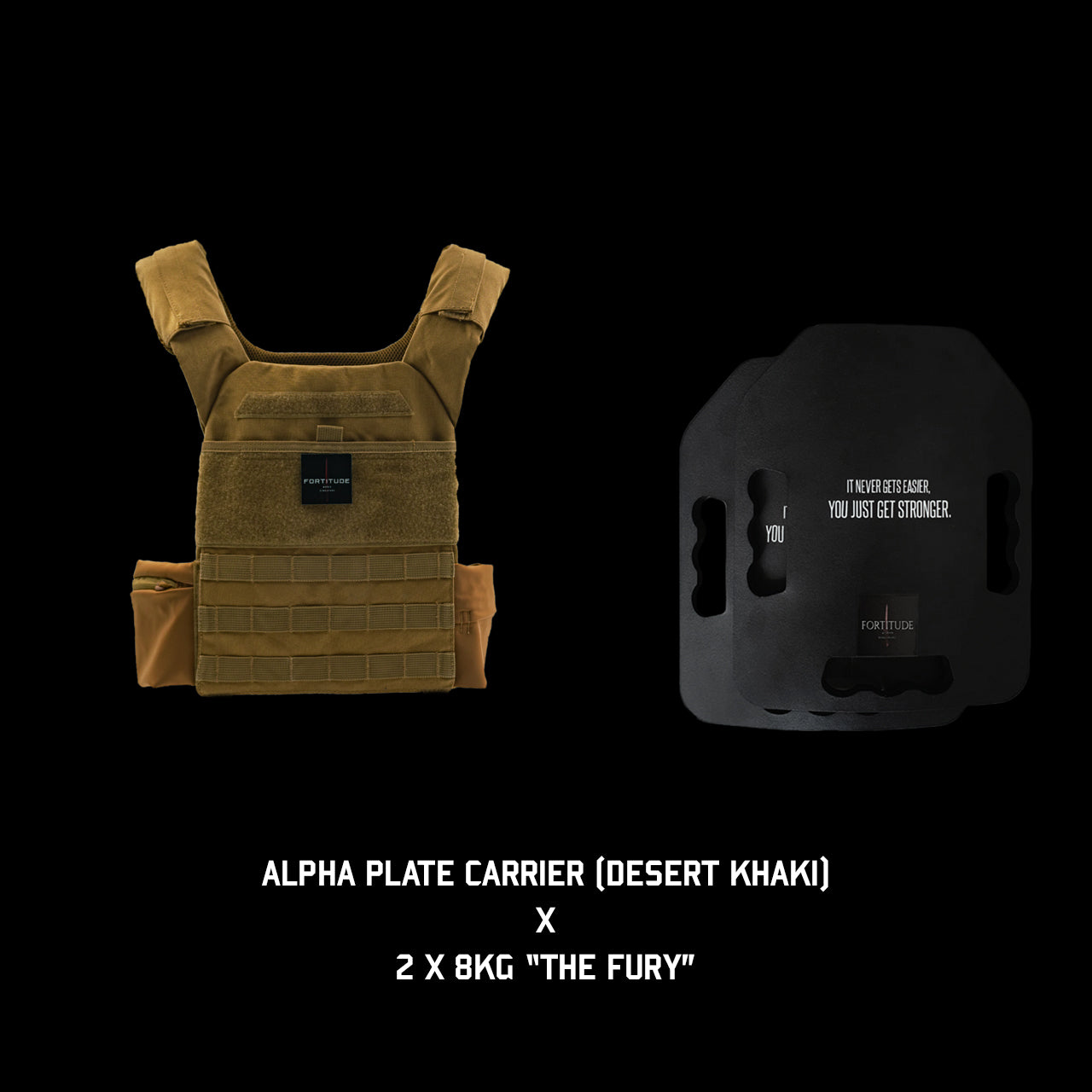 ALPHA Plate Carrier - FORTITUDE WORKS SINGAPORE