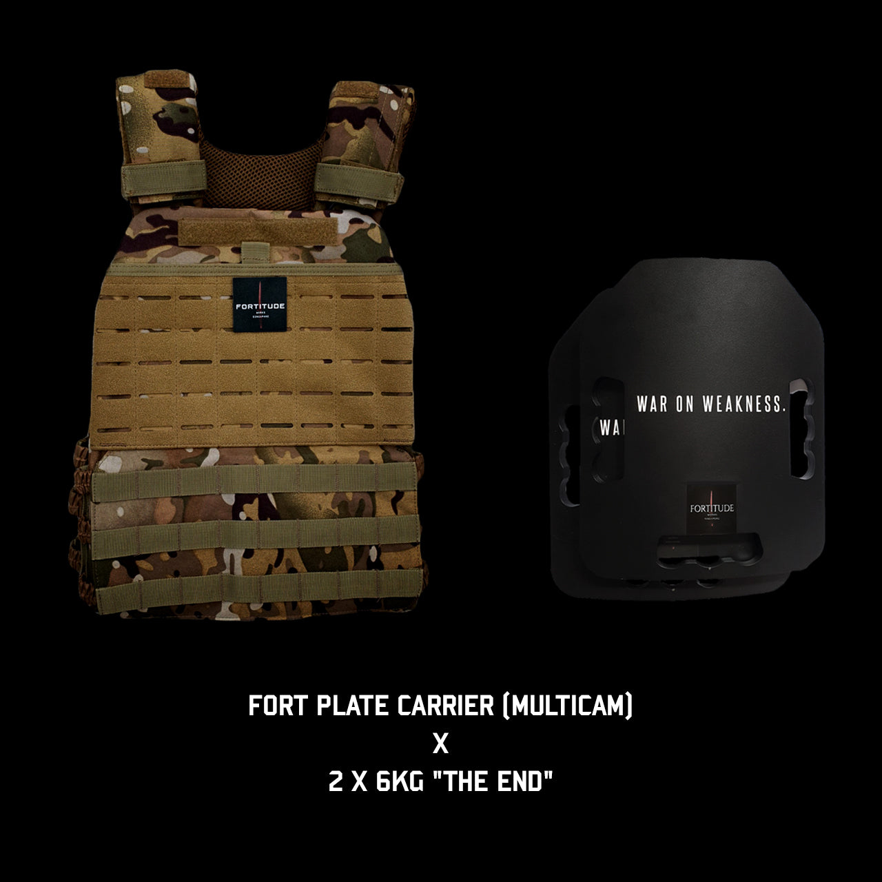 FORT Plate Carrier - FORTITUDE WORKS SINGAPORE
