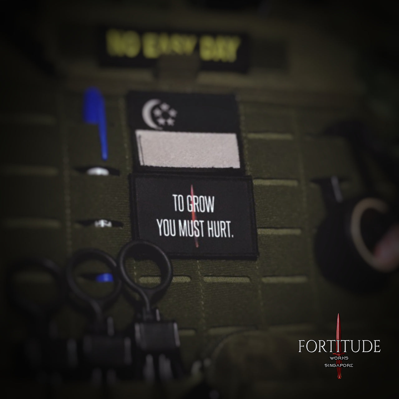 TO GROW YOU MUST HURT - FORTITUDE WORKS SINGAPORE